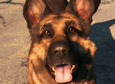 xbox-makes-a-donation-of-10-000-for-fallouts-dogmeat