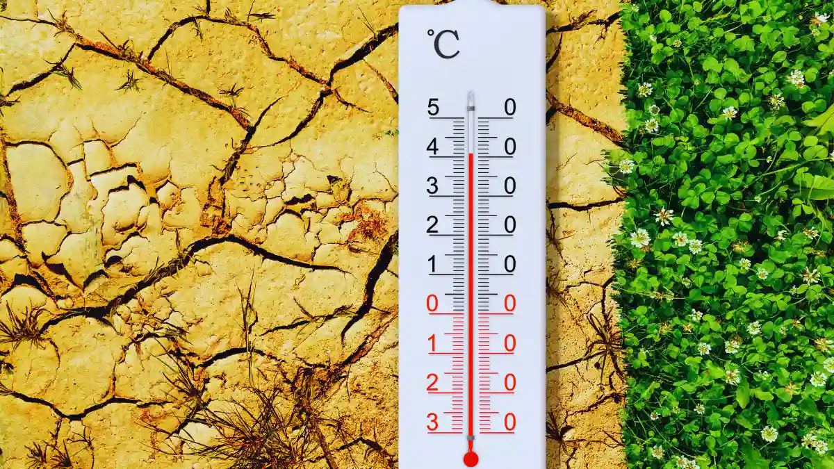 Climate Change Monitoring