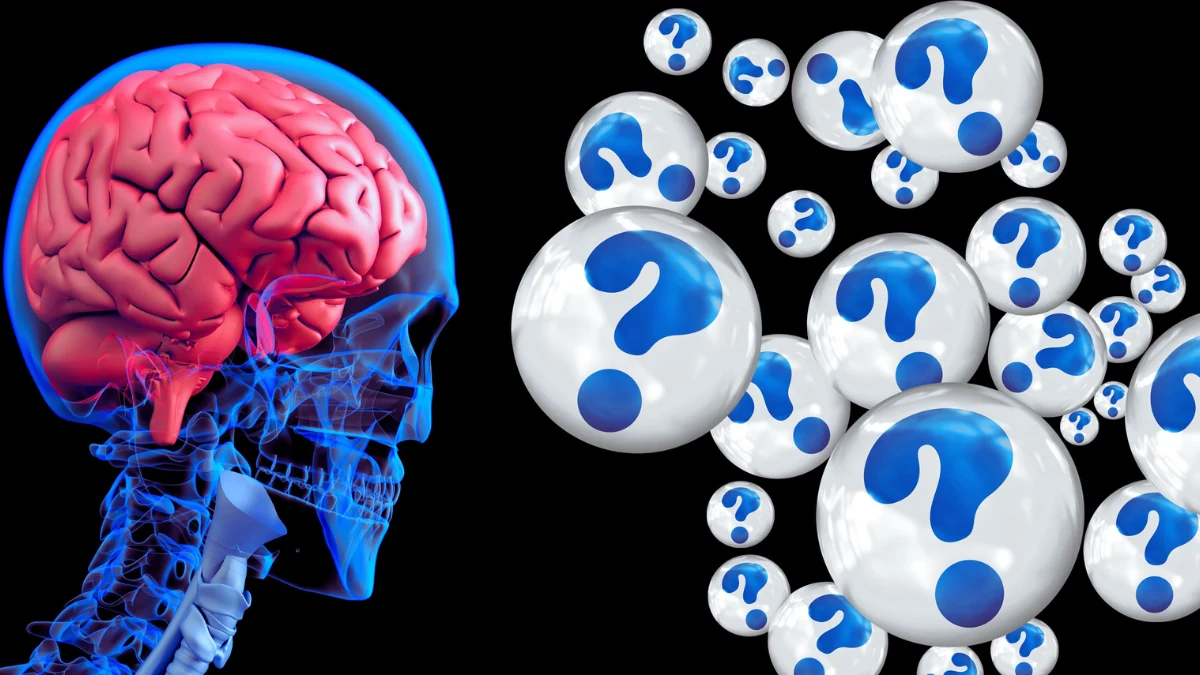Neuroplasticity and the Rewired Brain